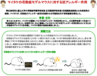 マイタケの抗アレルギー作用　 日本薬学会第134年会での発表のご案内