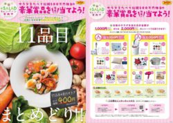 株式会社セブン＆アイ・フードシステムズ デニーズでサラダを食べて＜総額500万円＞豪華賞品をGET！ 新 ...