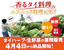 株式会社アライドコーポレーション 飲食店泣かせのエスニック食材がぐっと身近に！ エスニック料理に使 ...